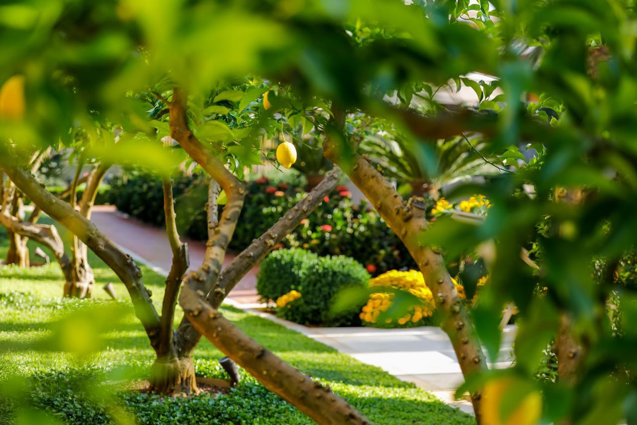 סוטיבאן Hotel Lemongarden - Adults Only מראה חיצוני תמונה
